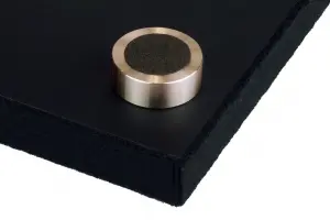 SB100 | FostexFostex