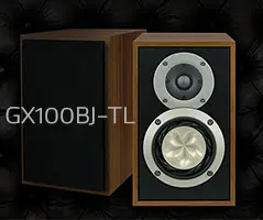 GX 100BJ | Fostex(フォステクス)