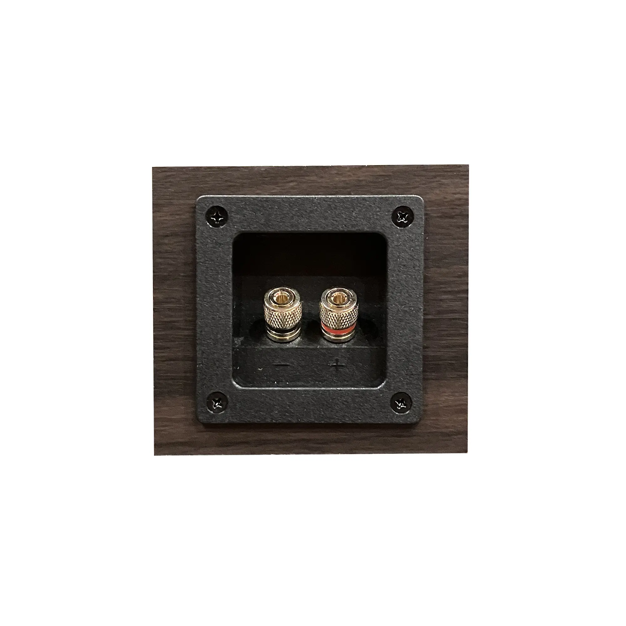 Fostex GS17H