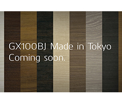 GX100BJ_top_banner