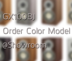 GX100BJ@topbanner_Anfeli