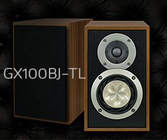 GX100BJ-TL_sam