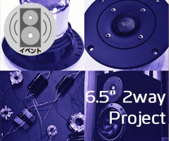2wayproject_Banner