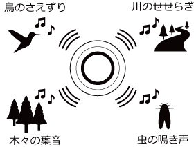 4chSP_image2