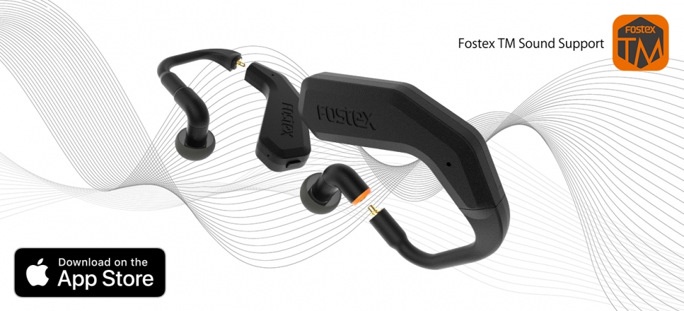 FOSTEX TM2